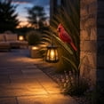 thumbnail image 4 of Cardinal Solar Garden Stake Lantern, Waterproof Warm Glow LED Light, Rustic Bird Yard Ornament for Halloween Fall Harvest Patio Lawn Walkway Graveyard Outdoor Decoration, 4 of 5