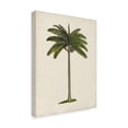 thumbnail image 2 of Trademark Fine Art 'British Palms IV' Canvas Art by Naomi McCavitt, 2 of 4