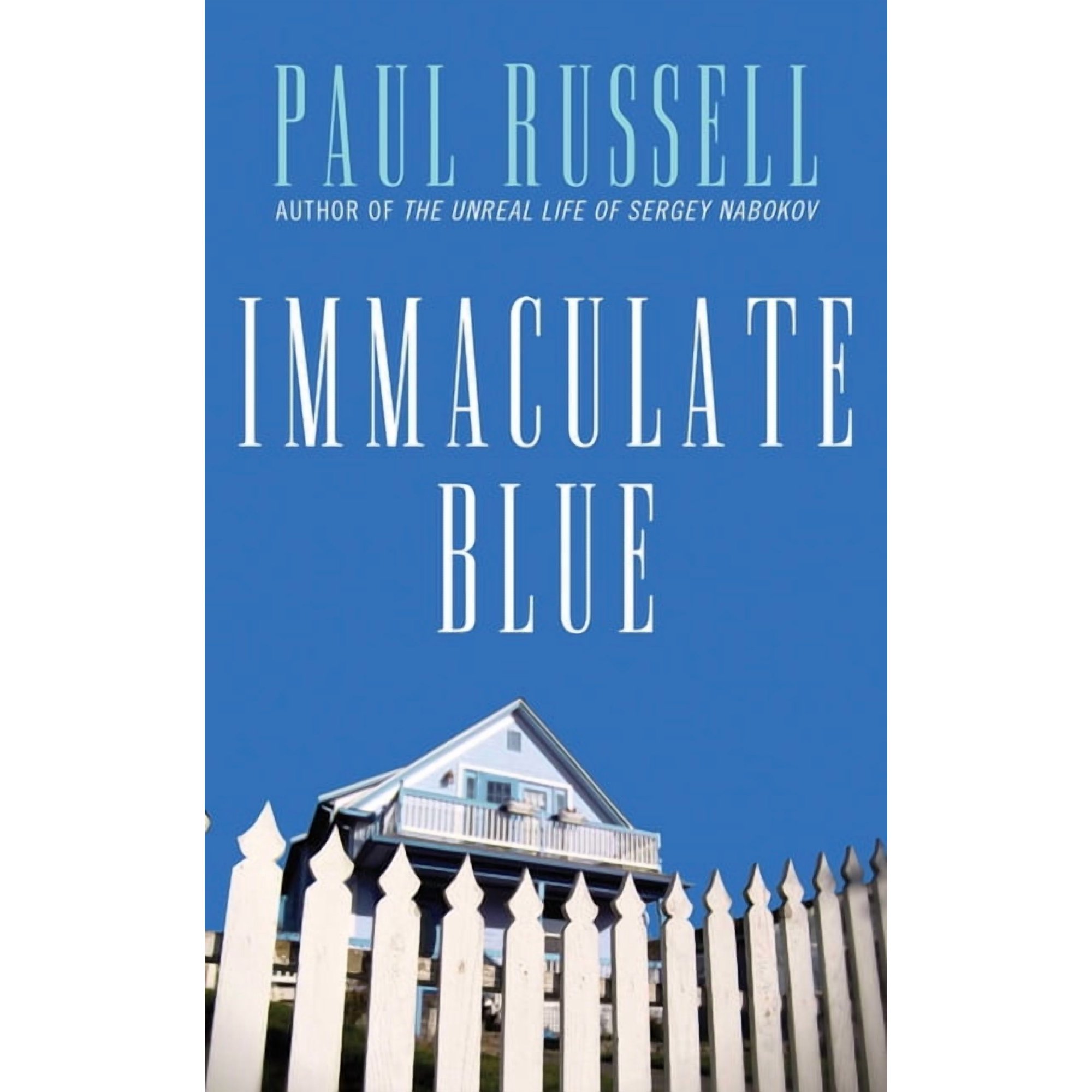Immaculate Blue: A Beautiful and Captivating Novel about Love Friendship and the Passing of Time (Paperback)
