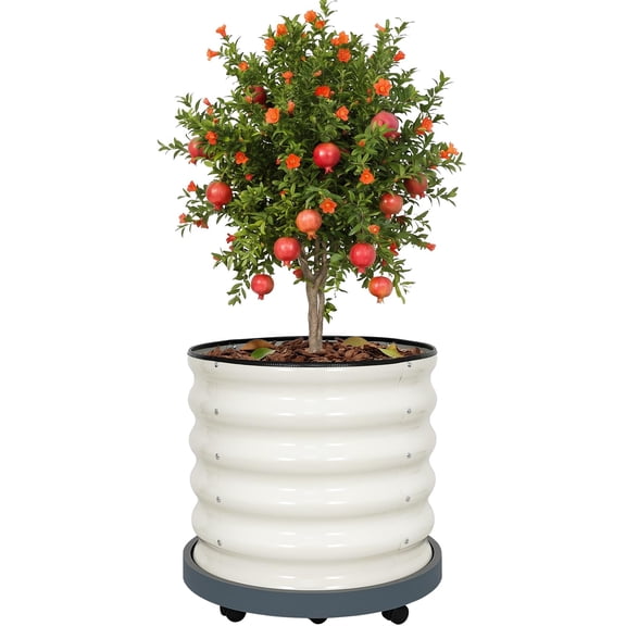 INNOSTAGE 19” x 19” x 17” 20 Gallon White Resin Rolling Planter Box