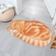 thumbnail image 4 of Alfombra de Bienvenida con Diseño de Gatito En 3D, 40 X 76 Cm, Antideslizante, Ideal para El Verano. Alfombra Divertida y Original para Interiores y Exteriores., 4 of 7