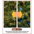 thumbnail image 2 of National Tree PEJF1-302LD-75 Jersey Frasier Fir Medium Hinged Tree , 7.5 ft., 2 of 4