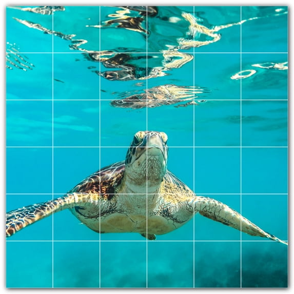 Picture-Tiles.com: Turtle Ceramic Tile Wall Mural WAL501050-66L. 48"W x 48"H using (36) 8" x 8" Ceramic Tiles-Satin Finish