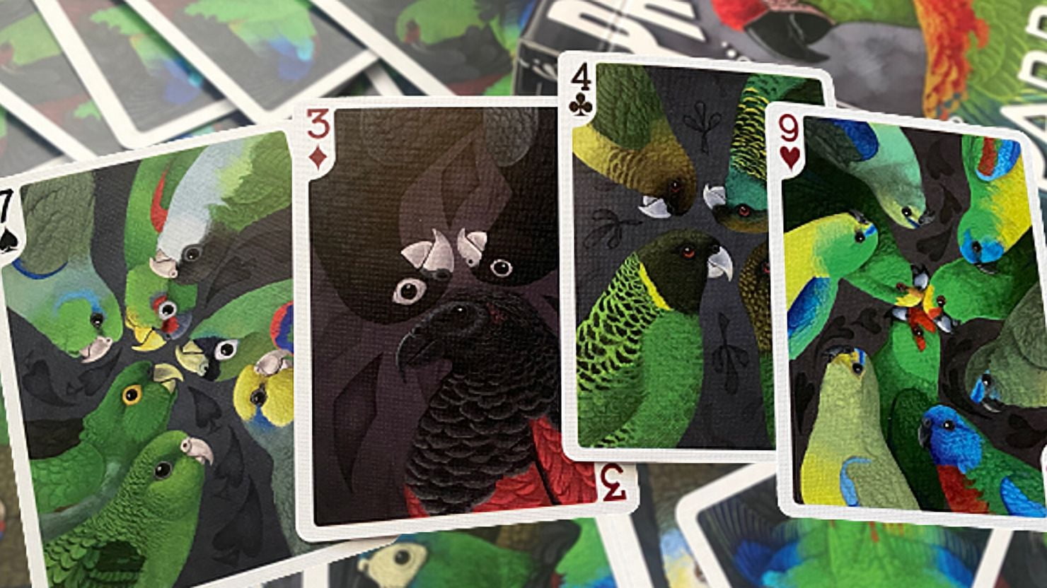 Parrot Prototype Playing Cards by Renee LeCompte