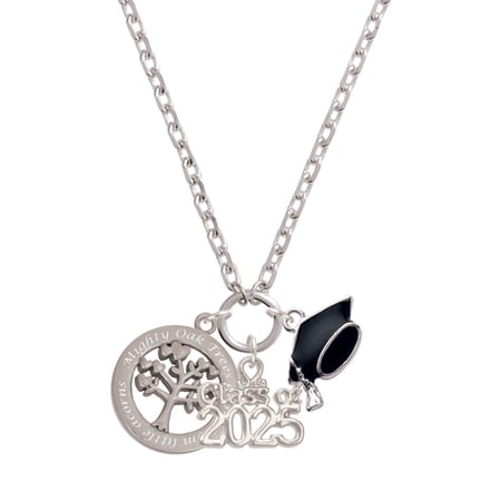 Delight Jewelry Stainless Steel Mighty Oak Tree of Life - Silver-tone Class of 2025 Graduation Zoey Necklace, 28"