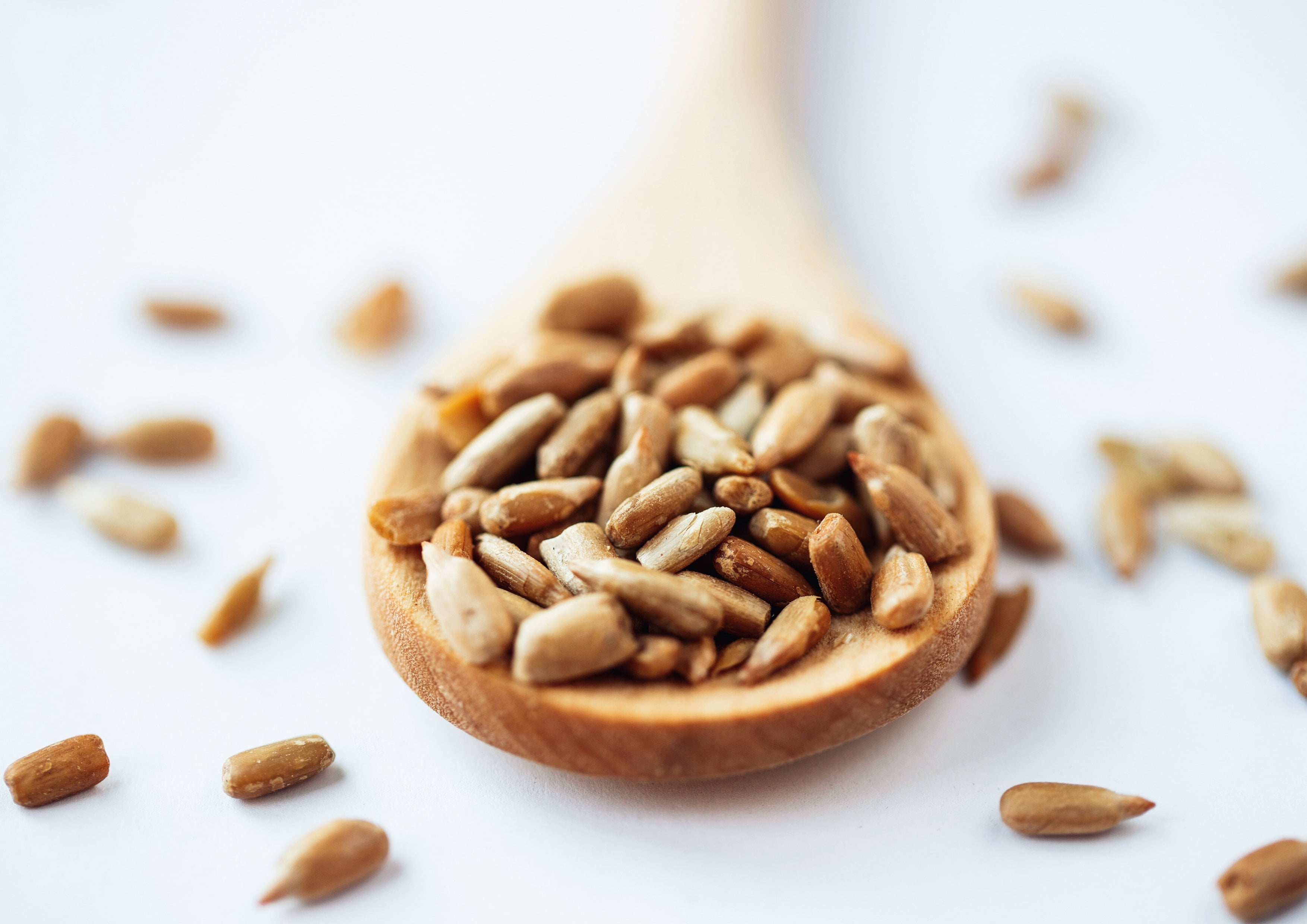 Dry Roasted Sunflower Seed Kernels with Himalayan Salt, 4 Pounds — Vegan, Kosher — by Food to Live