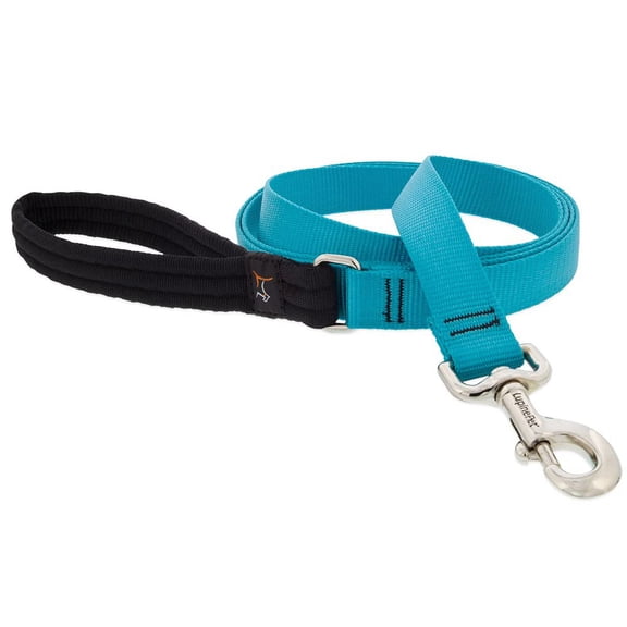Lupine Padded Handle Dog Leash 1" Wide Aqua 6-Foot Long