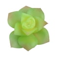 thumbnail image 1 of 10x Fake Succulents Small Vivid Useful Simulated Plants Multi-functional Lifelike Photo Props for Household Yards Lawn Flowerpot Type 19, 1 of 9