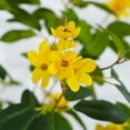 thumbnail image 5 of Garvee Artificial Tree, 4.3ft/4.9ft Artificial Blooming Trees, Blooming Flower Decor, Trees with Blooming Flower And Leaves for DIY Garden Home Wedding Party, 5 of 7