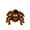 C, variant on Glowing Eye Vampire Hanging Halloween Decoration C 1pc