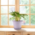 thumbnail image 6 of FIASON 6 Pack 10 Inch Lavender Purple Plastic Planters with Drainage Holes and Saucers, Embossed Flower Plant Pots for Snake Plants Large Indoor Outdoor, 6 of 8