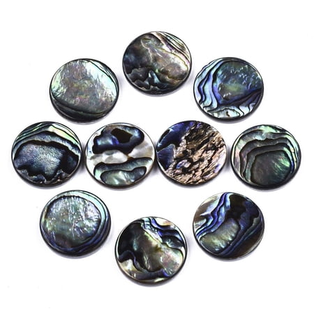 Natural Abalone Shell/Paua Shell Cabochons with Freshwater Shell Flat Round Colorful 20x3mm