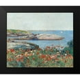 thumbnail image 2 of Hassam, Childe 17x15 Black Modern Framed Museum Art Print Titled - Poppies-Isles of Shoals, 2 of 5