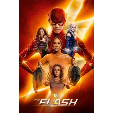 The Flash: The Ninth and Final Season (DVD)