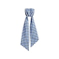 thumbnail image 2 of Christmas Wreath Sash,Checkered Fabric Bow Ribbon Streamers Ties Party Decor Gift Wrapping,Gingham Wreath Sash for Front Door, 2 of 6