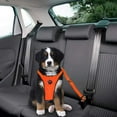 thumbnail image 4 of Cat Dog Adjustable Harness Vest Walking Lead Leash For Puppy Dogs Collar Polyester Mesh Harness For Small Medium Dog Cat Pet, 4 of 5