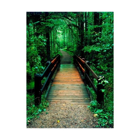 Trademark Fine Art 'Wooden Bridge Sundell Michigan' Canvas Art by Monte Nagler
