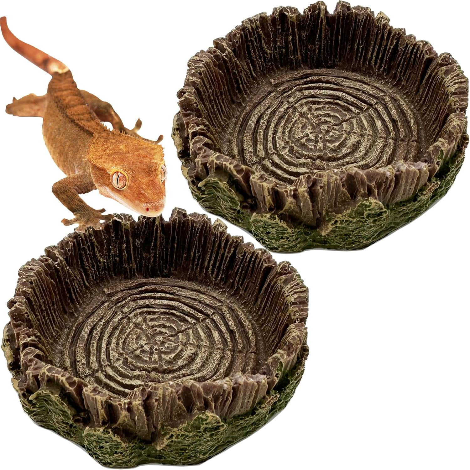 VNEKVA 2‑Pack Reptile Food & Water Dish, Small Terrarium Feeding Bowls for Small Reptiles & Amphibians