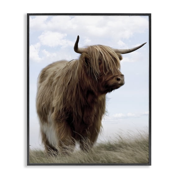 Stupell Industries Restful Look Highland Cattle Black Framed Giclee Art, design by Marcus Prime