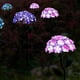 thumbnail image 5 of 3 Luces de Hadas LED para de Césped Decorativa con Luz Solar para ín Al Aire Libre Macarena luces del camino del césped, 5 of 8