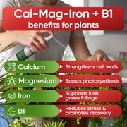 Hormex Mother Mist Plant Spray – Cal Mag for Plants – Grow Support and Cloning Booster 8oz