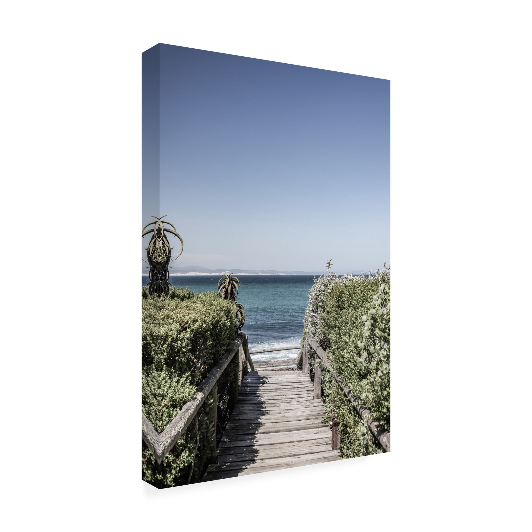 Trademark Fine Art Shot by Clint Bay Walk Canvas Wall Art