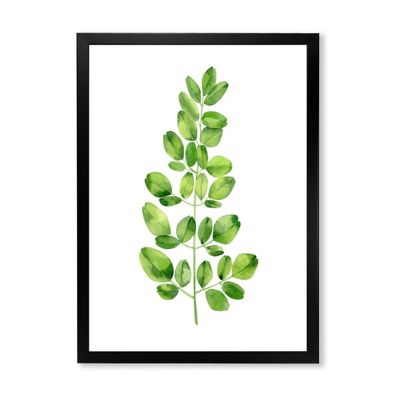 Moringa Plant Branch Tropical Tree Foliage 30 in x 40 in Framed Painting Canvas Art Print, by Designart