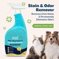thumbnail image 3 of Urine B-Gone, Professional Enzyme Odor Eliminator & Pet Stain Remover, Human, Cat & Dog Urine Cleaner, Effective on Laundry, Carpets & More, Original Scent, 32oz, 3 of 4