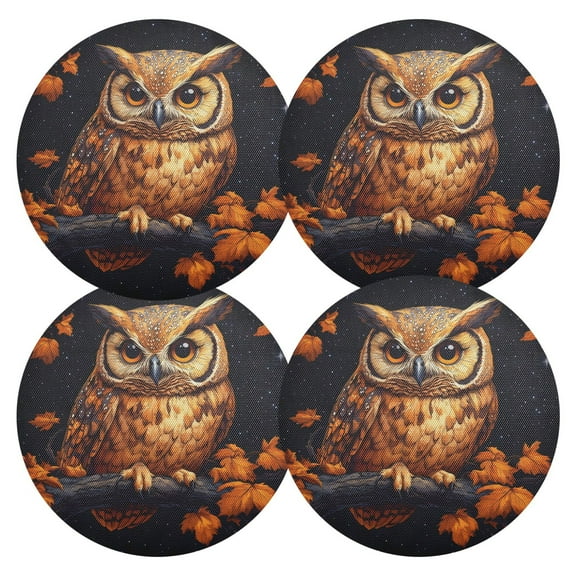 Ryvnso Owl in Fall Round Plate Mats Dining Table Placemat Set of 4 for Holiday Decoration