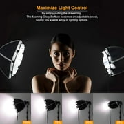 LINCO 2 Pack LED Photography Photo Table Top Studio Lighting Kit- 30 Seconds to Storage AM115