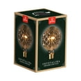 thumbnail image 4 of Globe Electric 40W Clear Designer Vintage Edison Crystalina Incandescent Light Bulb, 84637, 4 of 9