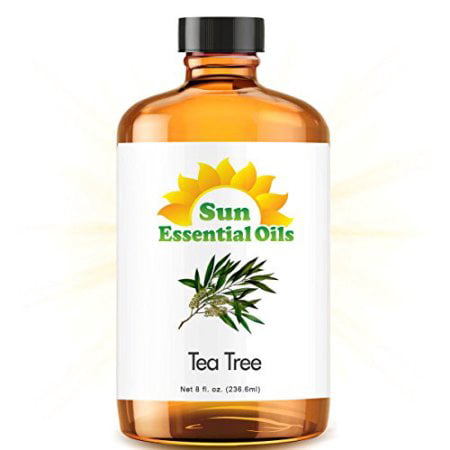 Tea Tree (Huge 8oz) Best Essential Oil (Best Supplements To Get Huge)