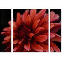 Trademark Fine Art "Red Dhalia" Canvas Art by Kurt Shaffer Three Panel Set