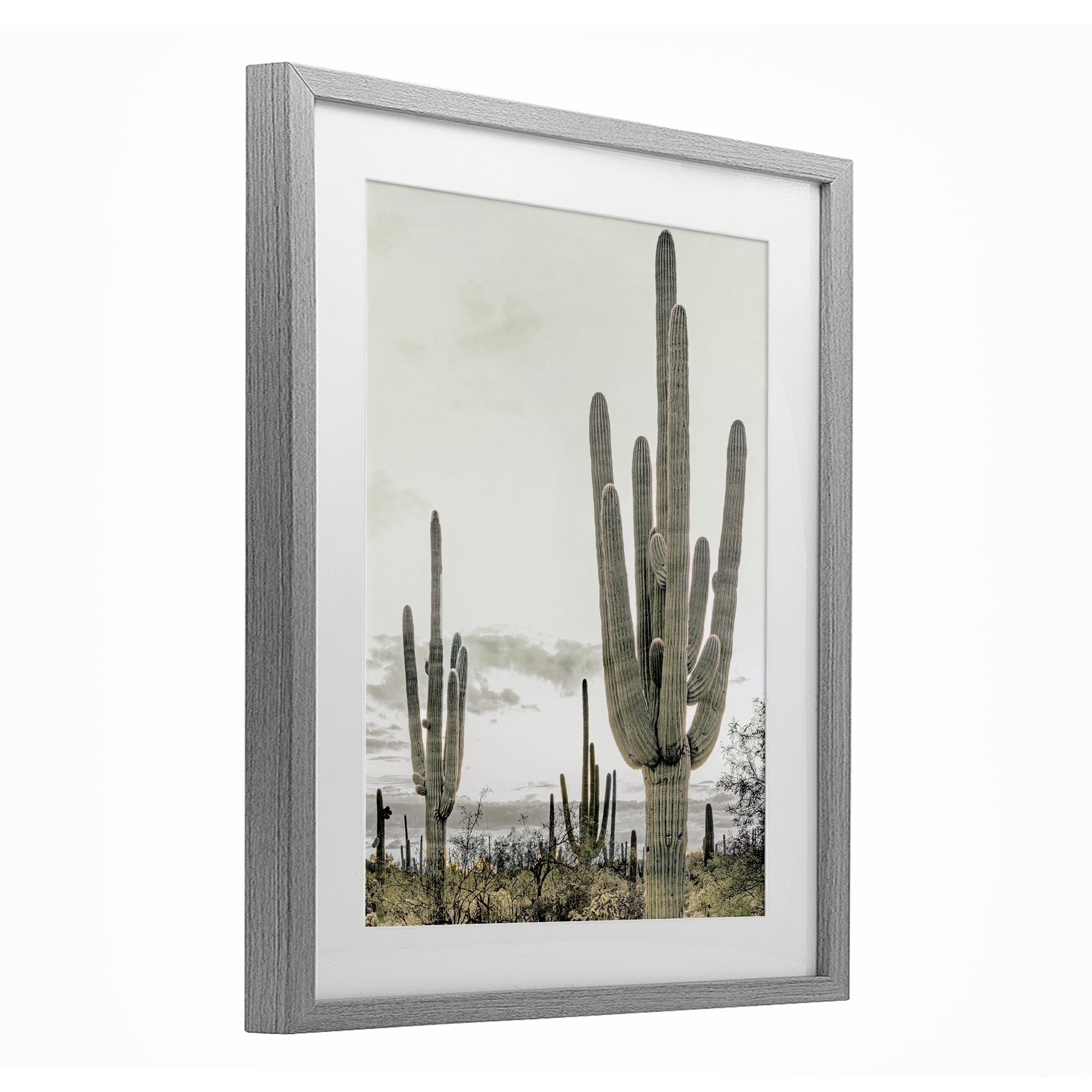 Stupell Industries Subdued Desert Cacti Gray Framed Print Under Glass, design by Kim Allen