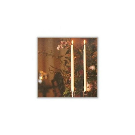 Light In the Dark Taper Candles (Set of 4)