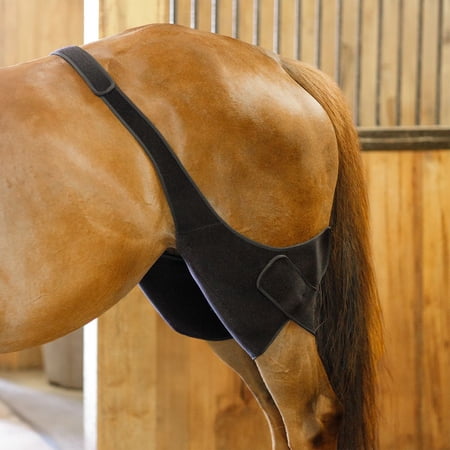 Schneiders ThermaCool Hot and Cold Therapy Stifle Wraps for Horses | One Size
