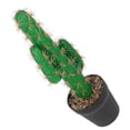 thumbnail image 1 of Homoyoyo Cactus Artificial Para Hogar Y Oficina, 1 of 8