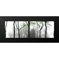 thumbnail image 2 of Pica, Jeff 14x7 Black Modern Framed Museum Art Print Titled - Midtown Waterfall, 2 of 5