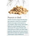Bulk Raw Peanuts in Shell for Wild Birds and Squirrels 20 Pounds