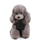 thumbnail image 3 of Abrigo cálido para perros, chaqueta reflectante de invierno para perros, cuello alto impermeable y resistente al viento para climas fríos, 3 of 5