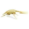 thumbnail image 6 of LeeQinersw 7Pcs Realistic Dinosaur Skeleton Toys Dino Bones Figures Educational Gift for, 6 of 9
