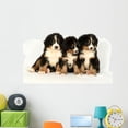 thumbnail image 1 of Bernese Mountain 40 Days Wall Decal by Wallmonkeys Peel and Stick Graphic (48 in W x 31 in H) WM314186, 1 of 4