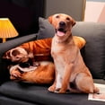thumbnail image 3 of Coussin en Peluche Motif Chien Imprimé 3d Lavable Style E, 3 of 9