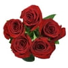 5 Stem Roses (Fresh Cut Flowers)