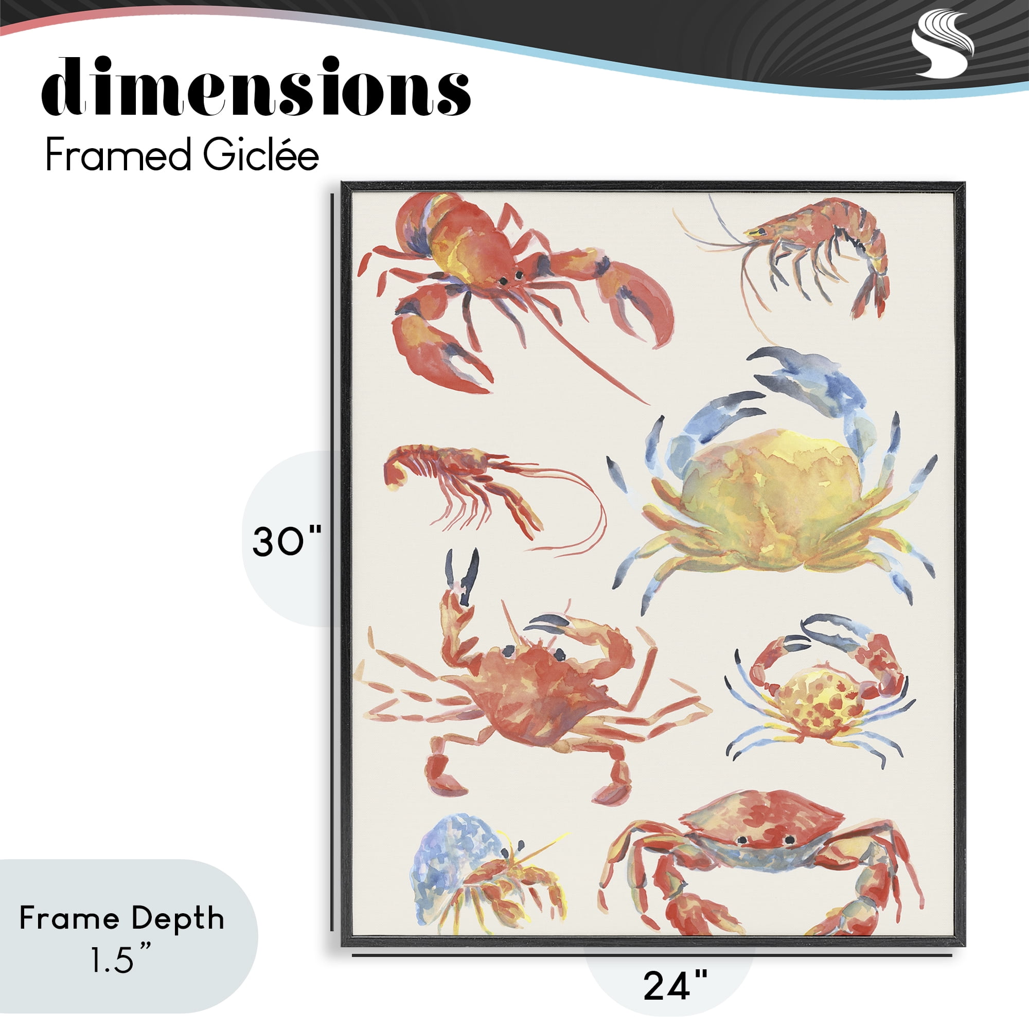 Stupell Industries Crab & Crustacean Collection Black Framed Giclee Art, design by June Erica Vess