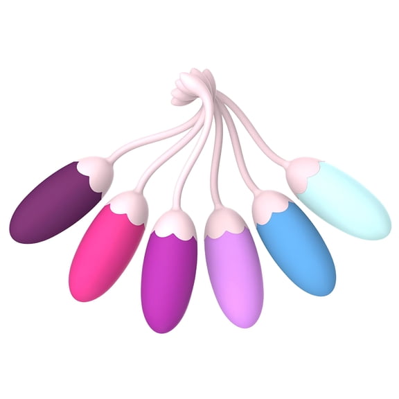 BESTSKY Pelvic Floor Exercise Devices – Pelvic Floor Strengthening – Set of 6 Premium Silicone Pelvic Floor Ball Weights&Control with Training Kit for Women: Beginners&Advanced