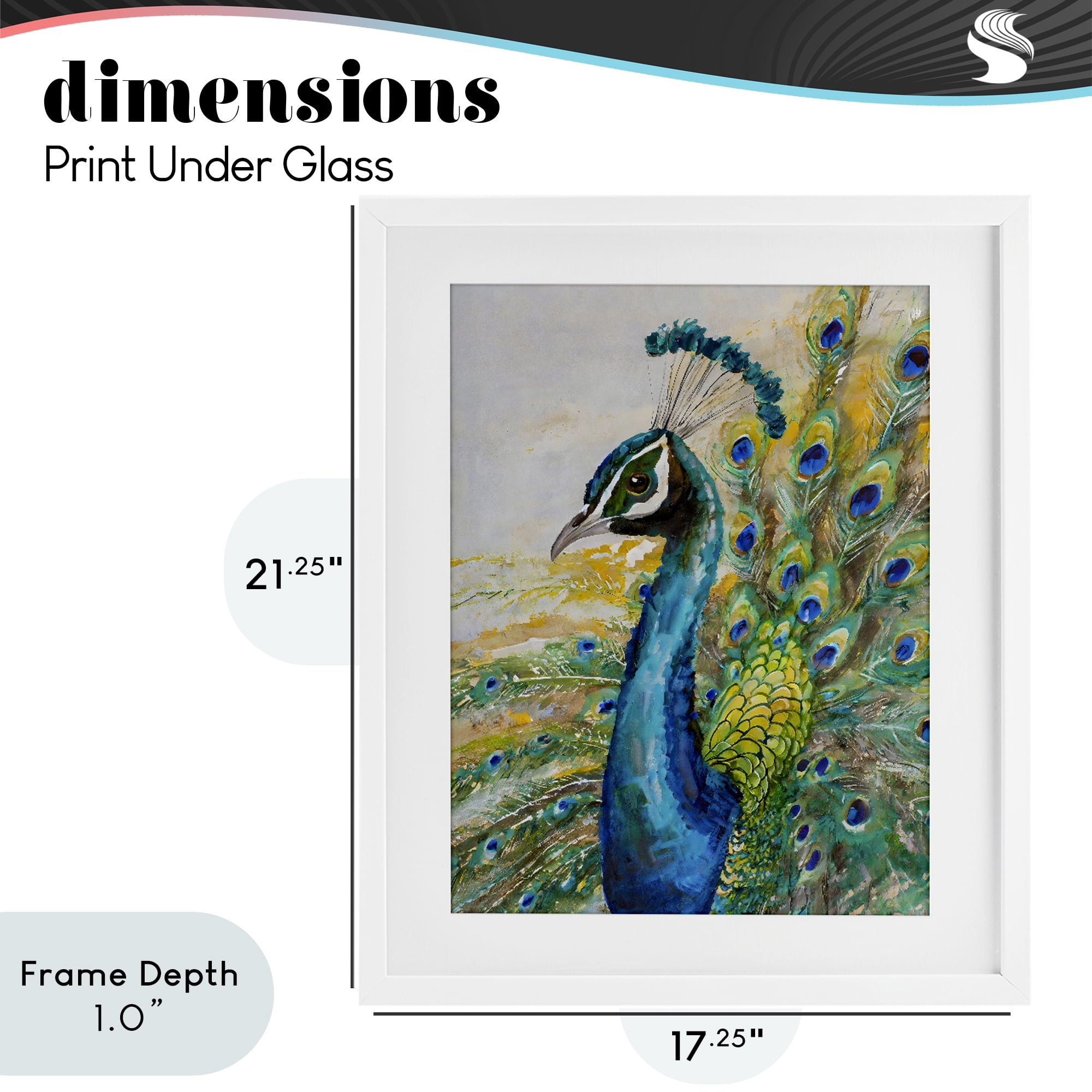 Stupell Industries Regal Blue Peacock Feathers White Framed Print Under Glass, design by Creative Studio