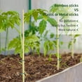 thumbnail image 4 of 45 Pack Stakes for Gardening,Bexikou 15.7" Wooden Garden Stakes,Plant Stakes Garden Stakes,Plant Support Stakes,Wooden Sign Posting Garden Sticks Support Floral Plant, Tomato Stakes (Natural), 4 of 8