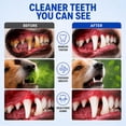 thumbnail image 5 of Pet Oral Tartar Remover Spray, Pets Oral Tartars Removers Foaming Tartars, Pet Dental Foaming Care Spray, Dog Breath Freshener,Support Healthy Gums, Reduce Tartar for Cats and Dogs, 5 of 7