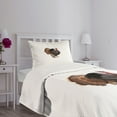 thumbnail image 5 of Ambesonne Turkey Quilted Bedspread Set 2 Pcs, Farm Animal Portrait, Twin Size, Black Brown Coral, 5 of 6